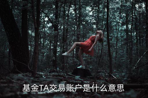 基金ta是什么意思，網(wǎng)銀買基金時的TA賬戶是什么意思