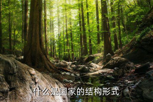 國(guó)家的結(jié)構(gòu)形式主要是調(diào)整什么，什么是國(guó)家的結(jié)構(gòu)形式
