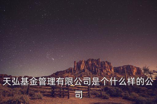天弘基金管理有限公司是個什么樣的公司