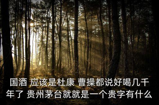 為什么不拿杜康當(dāng)國酒，為什么杜康酒沒有成為中國十大名酒之一