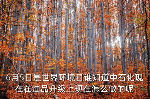 6月5日是世界環(huán)境日誰(shuí)知道中石化現(xiàn)在在油品升級(jí)上現(xiàn)在怎么做的呢