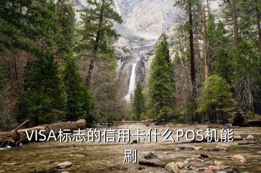VISA標(biāo)志的信用卡什么POS機(jī)能刷