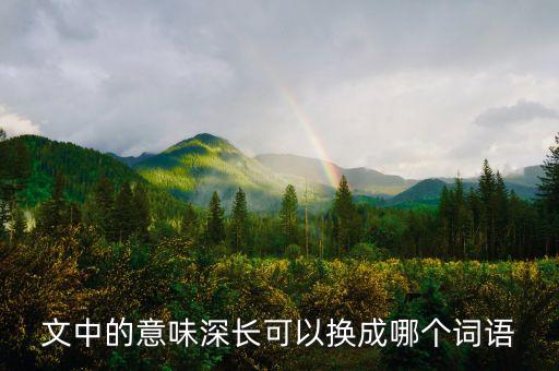 文中的意味深長可以換成哪個詞語