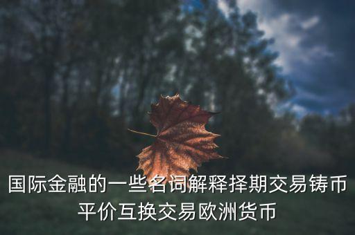 什么是歐洲貨幣貸款，什么是歐洲貨幣呀