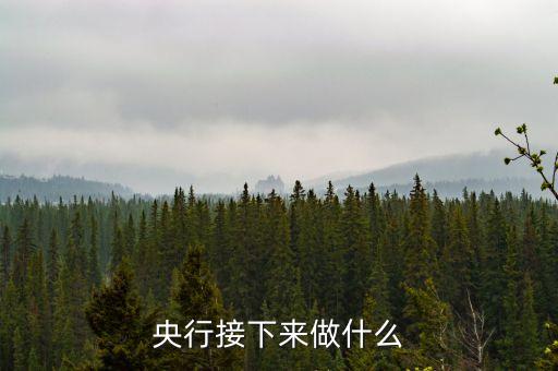 央行又要干什么，專欄央行的下一步是什么