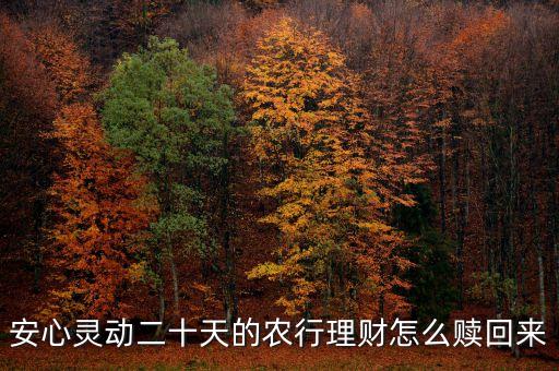 安心靈動20天什么時候可以贖回，安心靈動二十天的農(nóng)行理財怎么贖回來