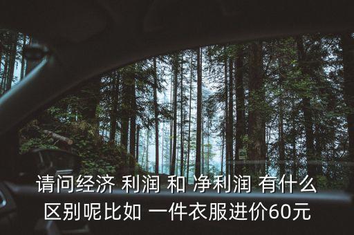 請問經(jīng)濟(jì) 利潤 和 凈利潤 有什么區(qū)別呢比如 一件衣服進(jìn)價60元