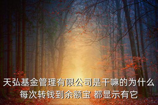 天弘基金管理有限公司是干嘛的為什么每次轉(zhuǎn)錢到余額寶 都顯示有它