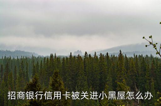 招商銀行信用卡被關(guān)進(jìn)小黑屋怎么辦