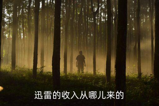 迅雷現(xiàn)在靠什么盈利，迅雷靠什么賺錢