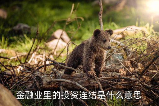 什么是投資連結(jié)，投資連結(jié)是什么意思哪位告訴我