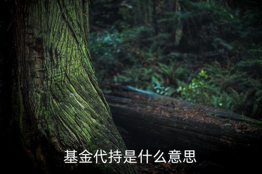 什么是代持，基金代持是什么意思
