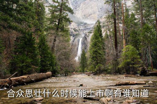 合眾思壯什么時(shí)候復(fù)牌，合眾思壯什么時(shí)候能上市啊有誰知道