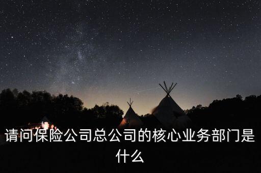請問保險公司總公司的核心業(yè)務(wù)部門是什么