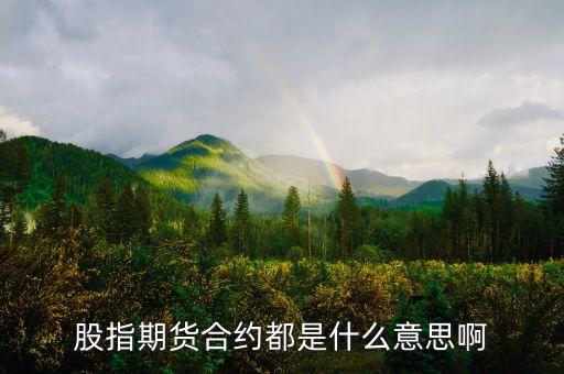 股指期貨合約都是什么意思啊