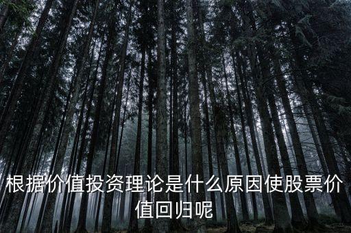 為什么價(jià)值投資策略的超額回報(bào)，為什么說(shuō)股市長(zhǎng)期投資是風(fēng)險(xiǎn)小回報(bào)高