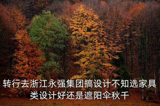 轉(zhuǎn)行去浙江永強(qiáng)集團(tuán)搞設(shè)計(jì)不知選家具類設(shè)計(jì)好還是遮陽(yáng)傘秋千