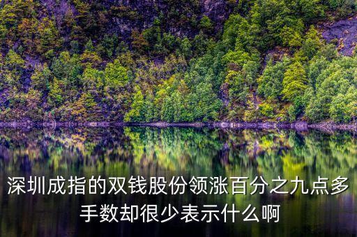 雙錢股份是什么公司，深圳成指的雙錢股份領(lǐng)漲百分之九點(diǎn)多 手?jǐn)?shù)卻很少表示什么啊