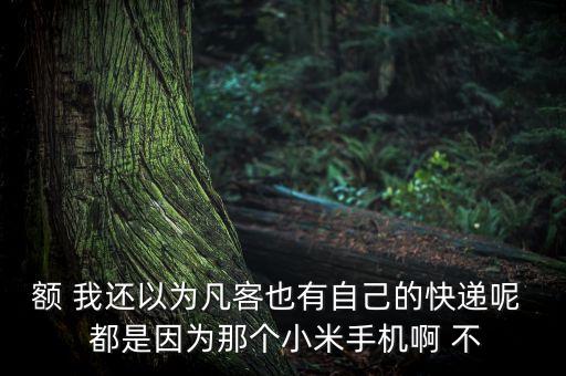 額 我還以為凡客也有自己的快遞呢  都是因為那個小米手機啊 不