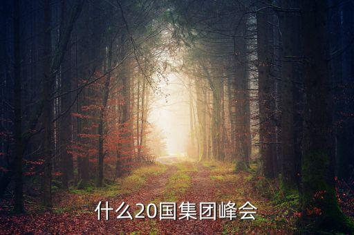 二十國集團(tuán)2015峰會(huì)什么議題，什么20國集團(tuán)峰會(huì)