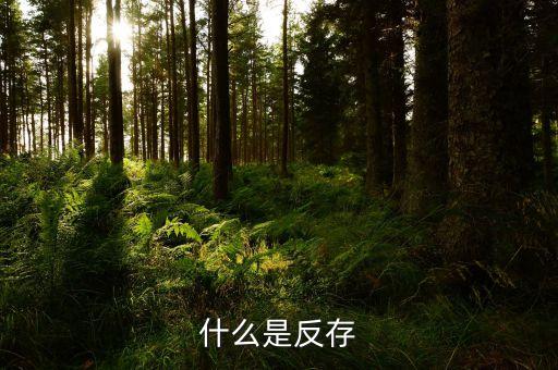 銀行倒存是什么意思，返存是什么