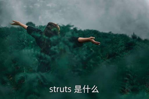 什么是中植系，struts 是什么