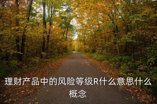 理財(cái)產(chǎn)品中的風(fēng)險(xiǎn)等級(jí)R什么意思什么概念