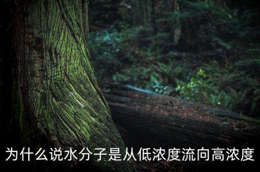 為什么說水分子是從低濃度流向高濃度