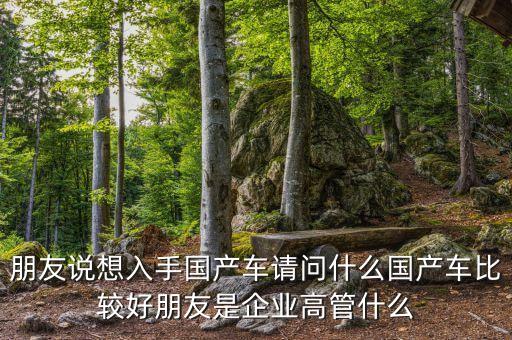 朋友說(shuō)想入手國(guó)產(chǎn)車(chē)請(qǐng)問(wèn)什么國(guó)產(chǎn)車(chē)比較好朋友是企業(yè)高管什么