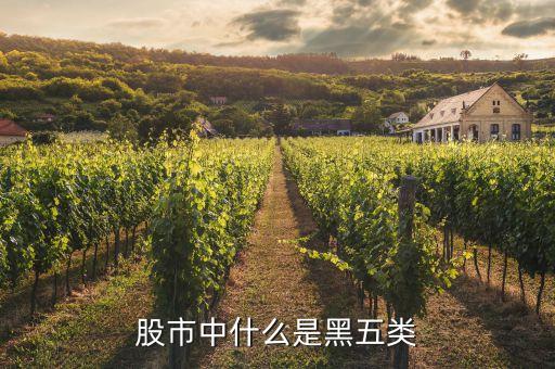 股票黑五類是什么，股市中什么是黑五類