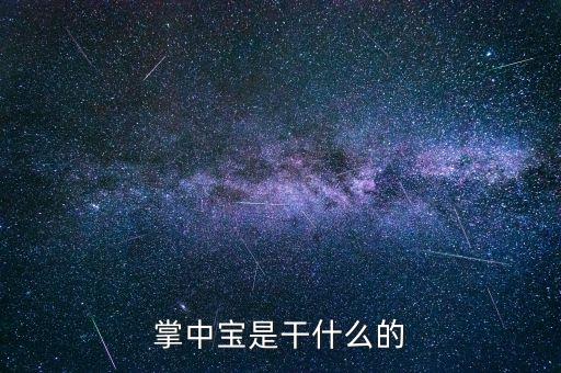 保險(xiǎn)掌中寶是什么，掌中寶是干什么的