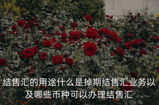 什么是掉期結匯，結售匯的用途什么是掉期結售匯業(yè)務以及哪些幣種可以辦理結售匯