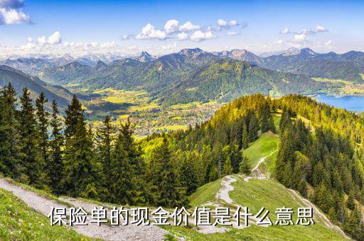 保險(xiǎn)金的現(xiàn)金價(jià)值是什么意思，保險(xiǎn)單的現(xiàn)金價(jià)值是什么意思