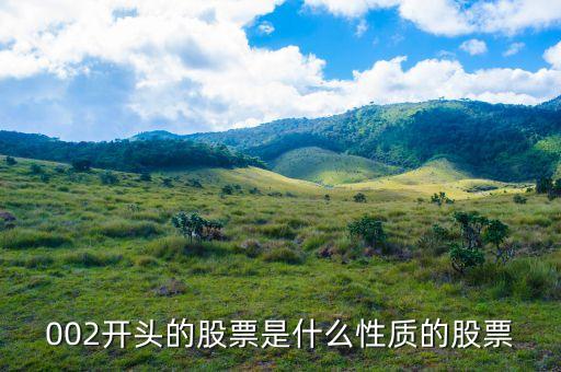 002打頭的股票代表什么，股票002開頭的是什么意思