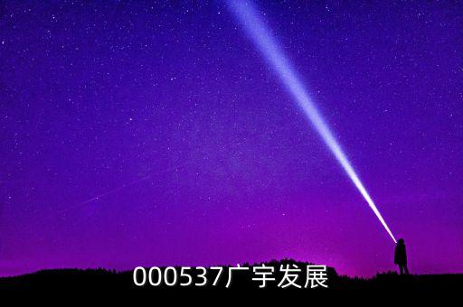 000537廣宇發(fā)展