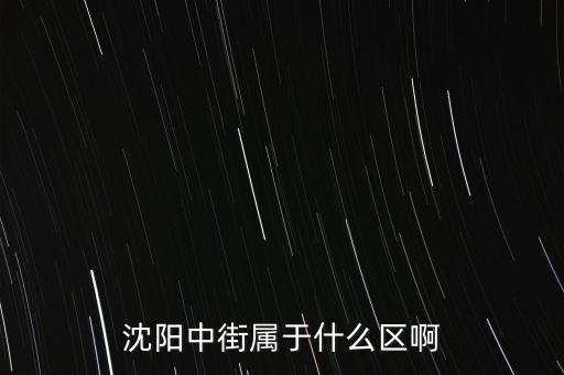 沈陽中街屬于什么區(qū)啊