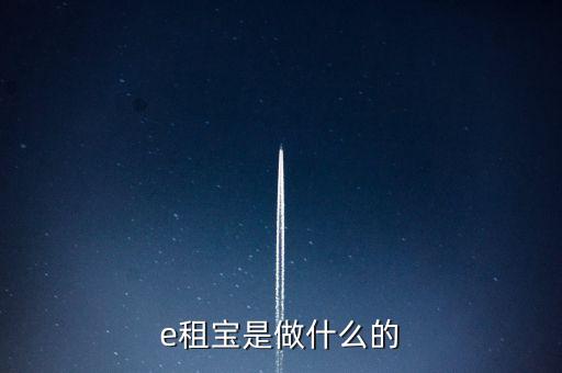 e租寶是做什么的