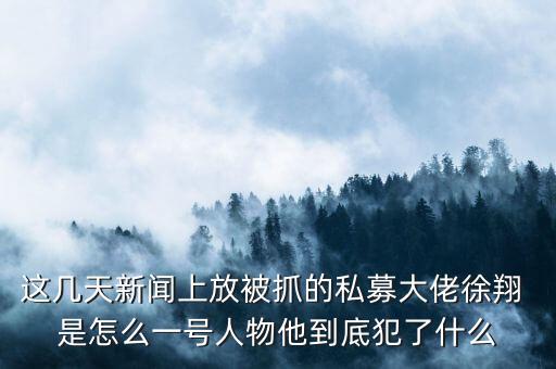 徐翔為什么會(huì)抓，澤熙投資徐翔為什么被抓徐翔被抓后私募怎么辦