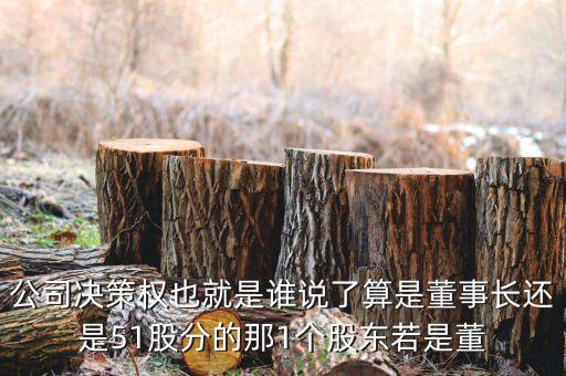 公司決策權(quán)稱為什么股，股份公司的最高權(quán)力和決策權(quán)歸屬