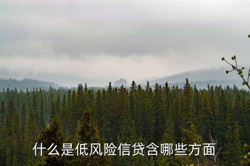 什么是低風(fēng)險(xiǎn)信貸含哪些方面