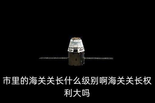 市里的海關(guān)關(guān)長什么級別啊海關(guān)關(guān)長權(quán)利大嗎