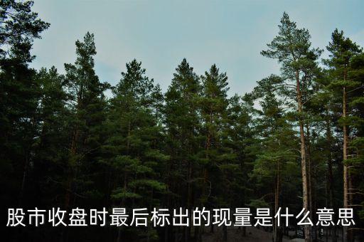 股市收盤時最后標出的現(xiàn)量是什么意思