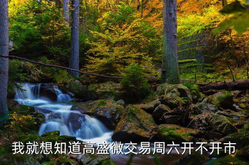 高盛互助什么時(shí)候開盤，我就想知道高盛微交易周六開不開市