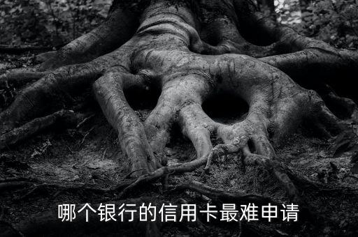 哪個(gè)銀行的信用卡最難申請