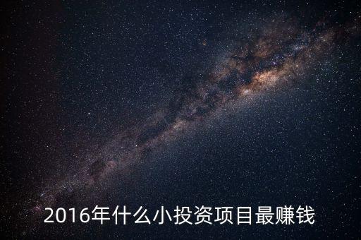 2016年什么小投資項目最賺錢