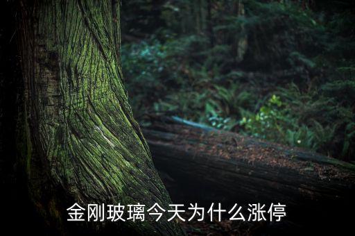 金剛玻璃什么時候開盤，金剛玻璃今天為什么漲停