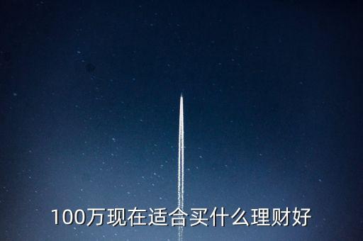 100萬(wàn)現(xiàn)在適合買什么理財(cái)好