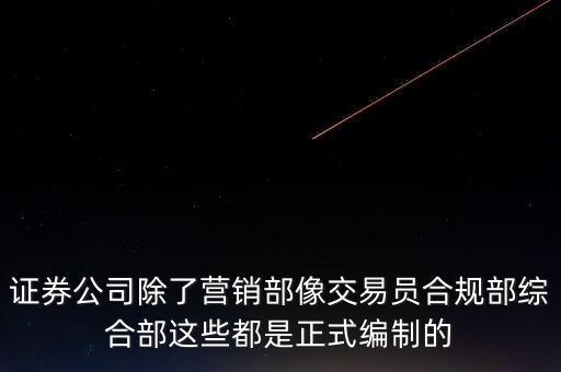 證券公司除了營銷部像交易員合規(guī)部綜合部這些都是正式編制的