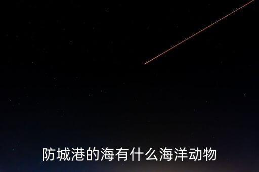 什么是沿邊金融，防城港的海有什么海洋動(dòng)物