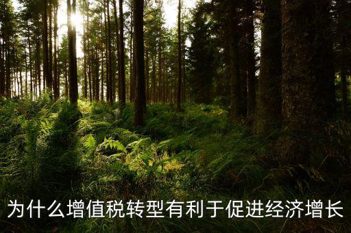 為什么增值稅轉(zhuǎn)型有利于促進(jìn)經(jīng)濟(jì)增長